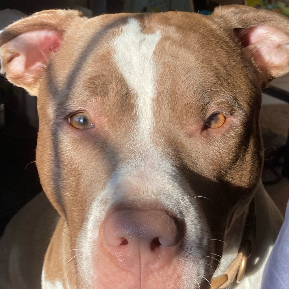 Meet your Posher, Victoria